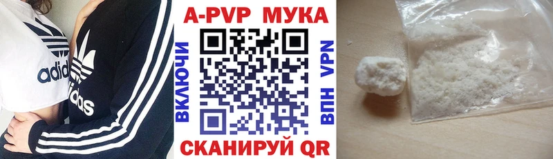 A PVP СК КРИС  Хасавюрт 