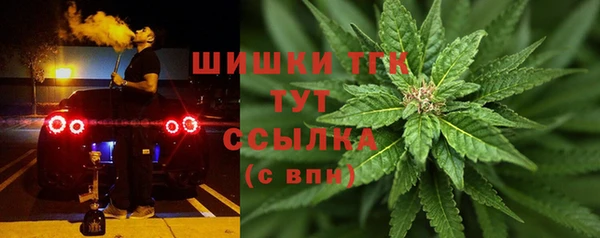 МДПВ Волоколамск
