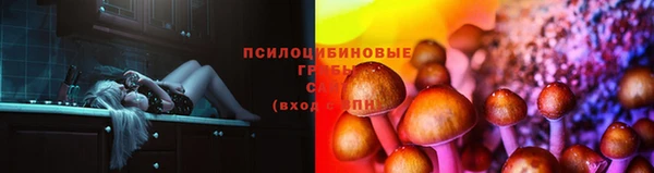 МДПВ Волоколамск