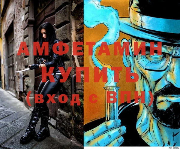 стаф Волосово