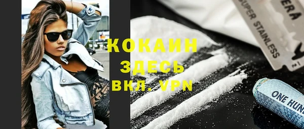 шишки Володарск